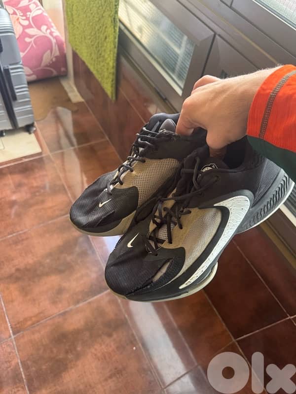 shoes dunks Nike Jordan size 46-47 10