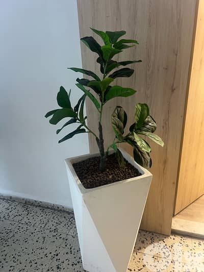 artificial plant