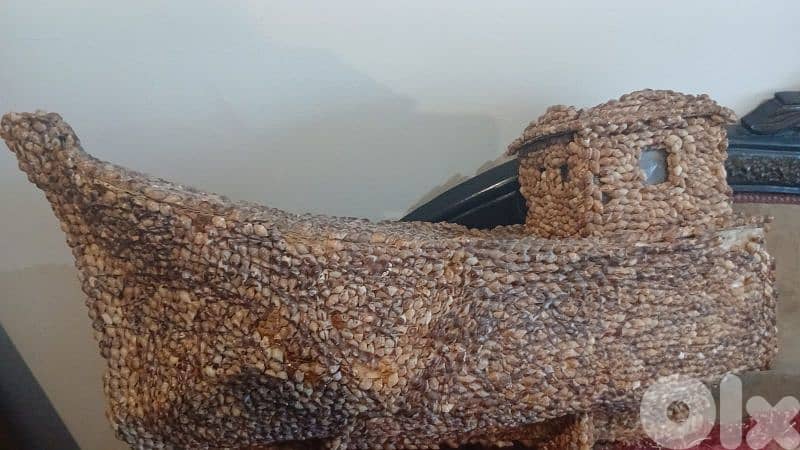 سفينه من الصدف 1