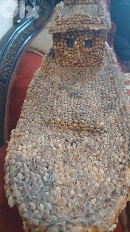 سفينه من الصدف 2