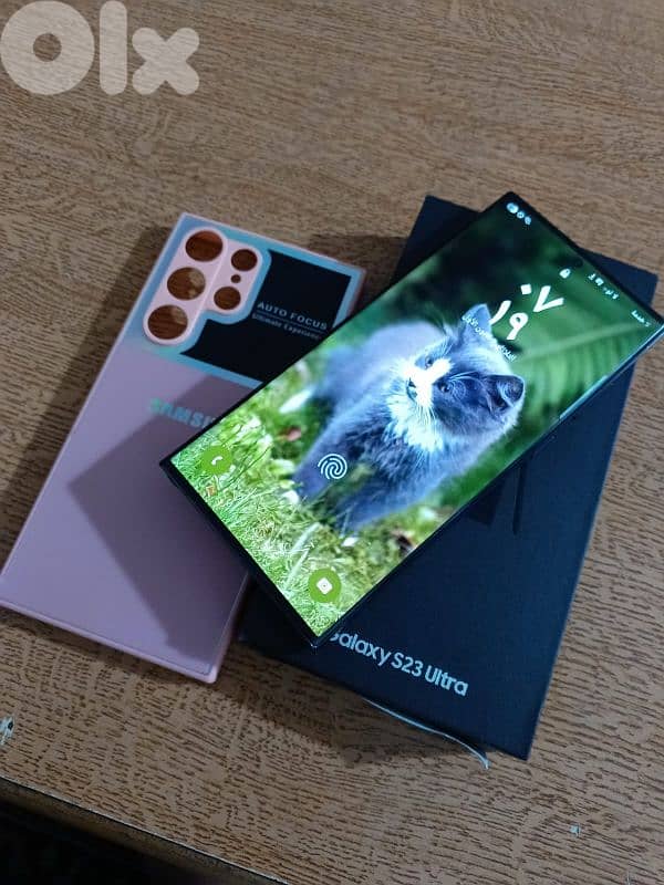 طرابلس القبة 3