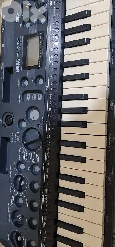 Korg microsampler 2