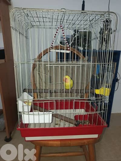 فرخ روز مفطوم ما بعض مع القغص