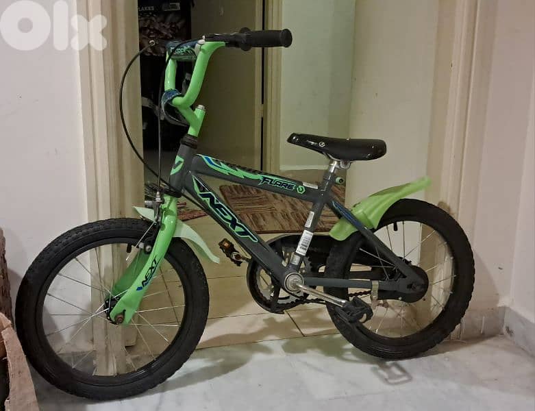 Bicycle Next 4 to 6 Years 0