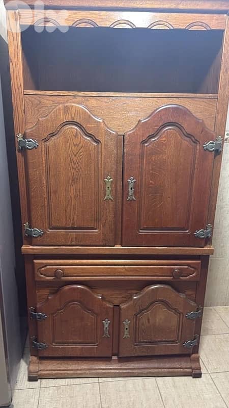 نملية خشب زان  اوروبي 0