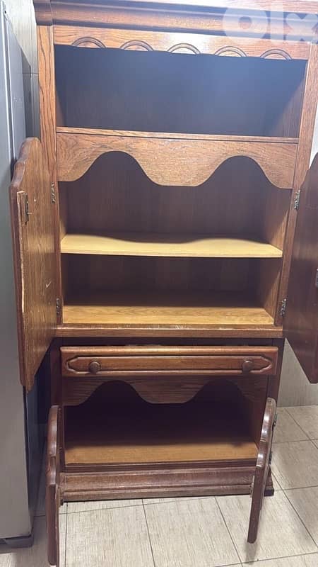 نملية خشب زان  اوروبي 1