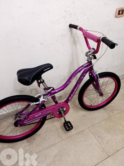 بسكليت schwinn usa