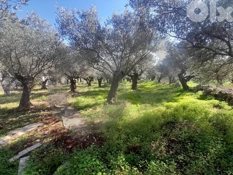 guesthouses or private villas- batroun wejj el hajar REF#FD129792 2