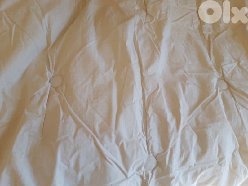 Descamps couette duvet (made in France) - Not Negotiable 2