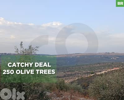 9450 sqm parcel of land IN BZIZA ! REF#BR129831 !