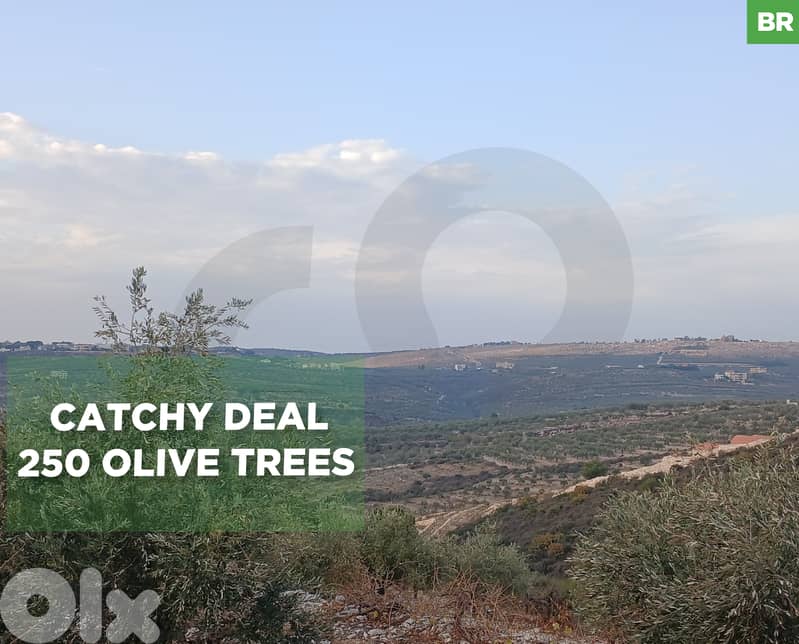 9450 sqm parcel of land IN BZIZA ! REF#BR129831 ! 0