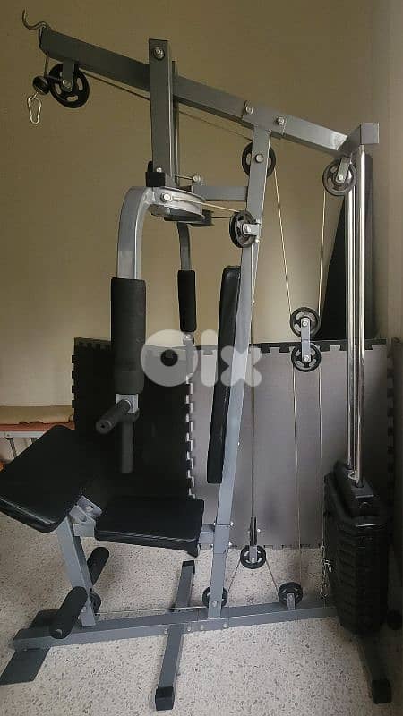 Home Gym 1