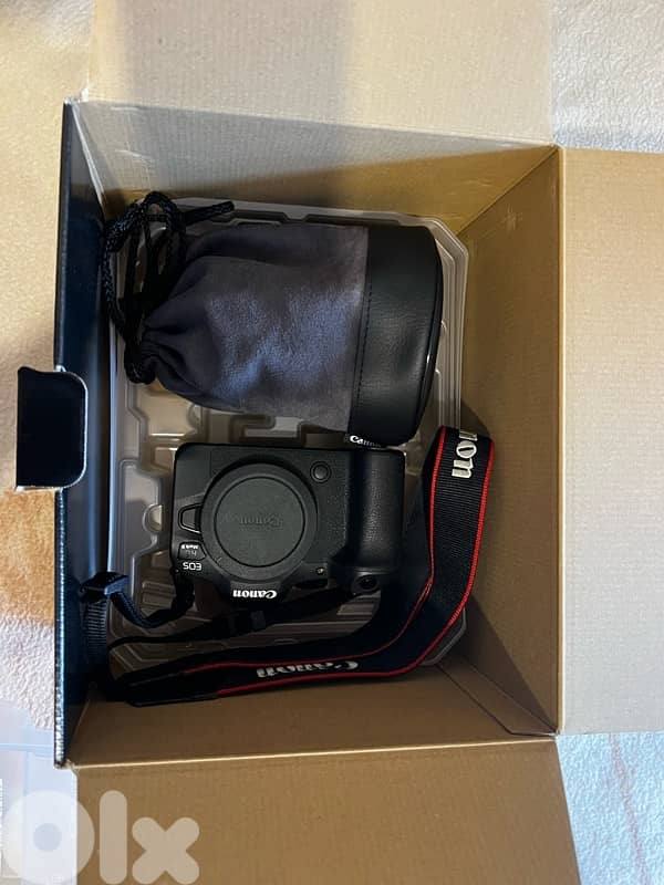 canon r6 mark ii with all equipments 1