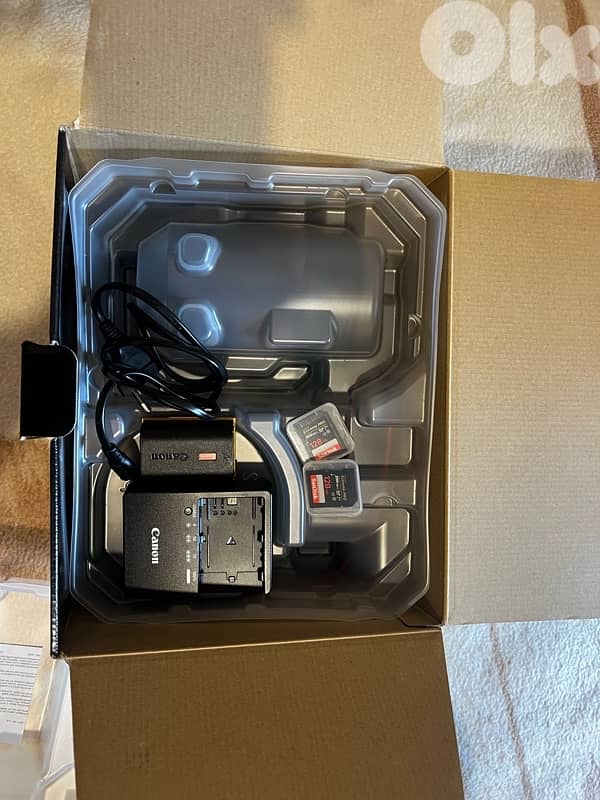 canon r6 mark ii with all equipments 2