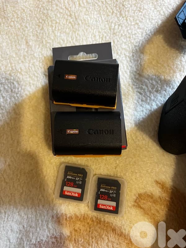 canon r6 mark ii with all equipments 4