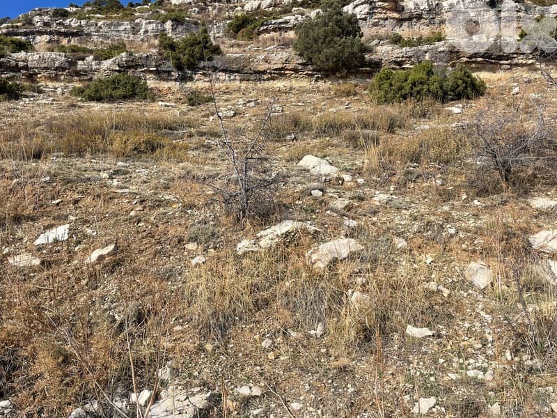 RWB192PK - Land for sale in Laklouk Jbeil 1