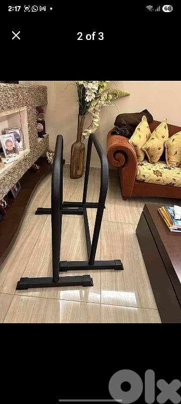 Custom made paralel Dip bars 1