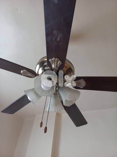 50$مراوح عدد ٢ بحالة ممتازة ،التنين بـ