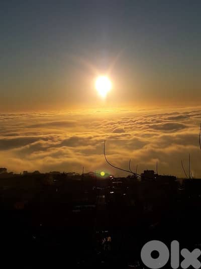 ارض للبيع في فالوغا