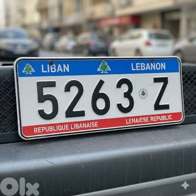 special plate number for sale