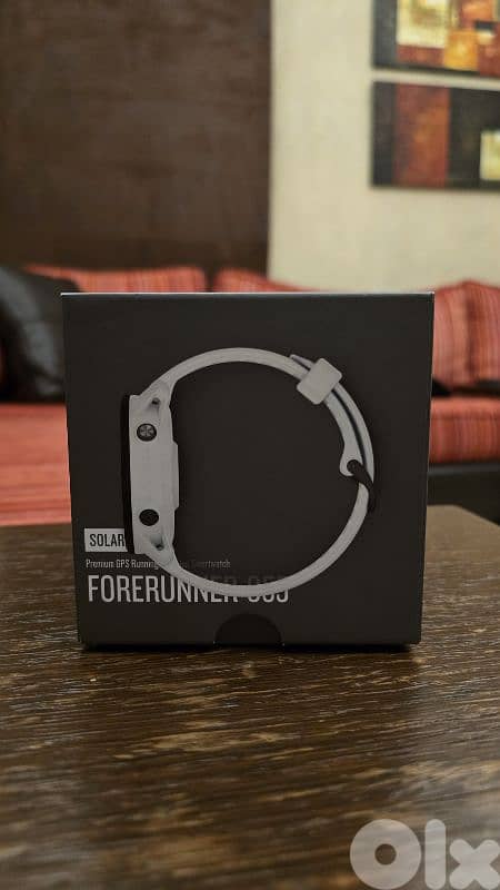 Garmin ForeRunner 955 Solar Edition 1