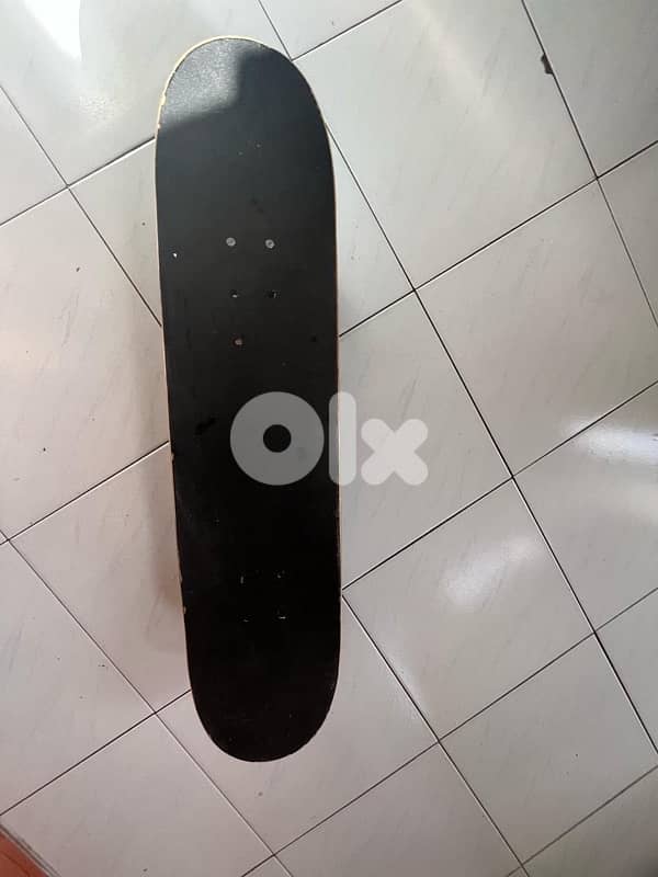 skateboard 2