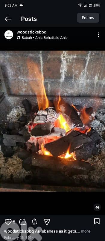 فحم طبيعة مرتب فحم صنع اوستراليان وفحم نرجيللة 2