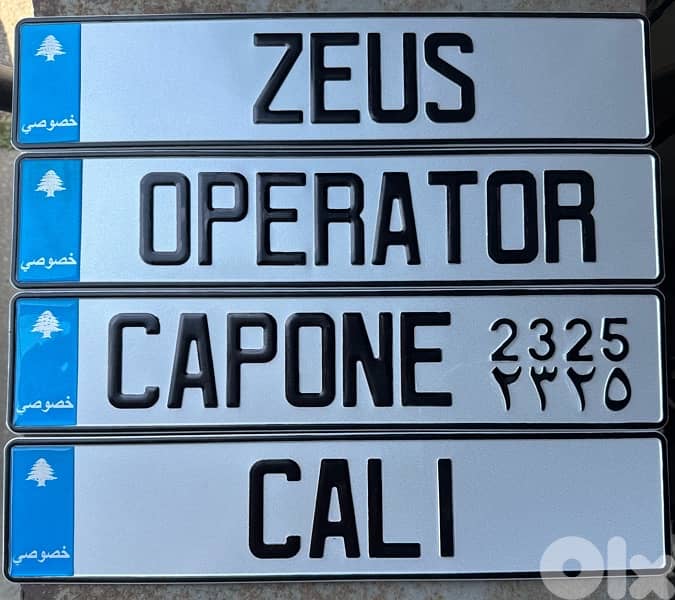 customized car plates 2