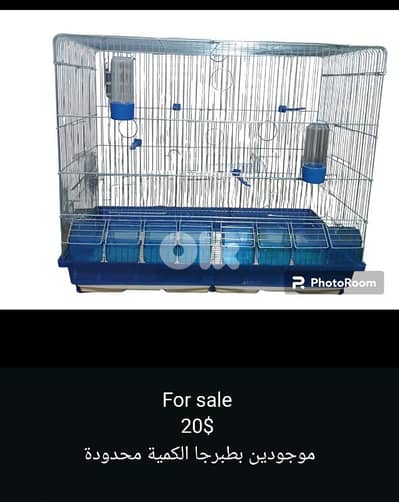 cages for birds