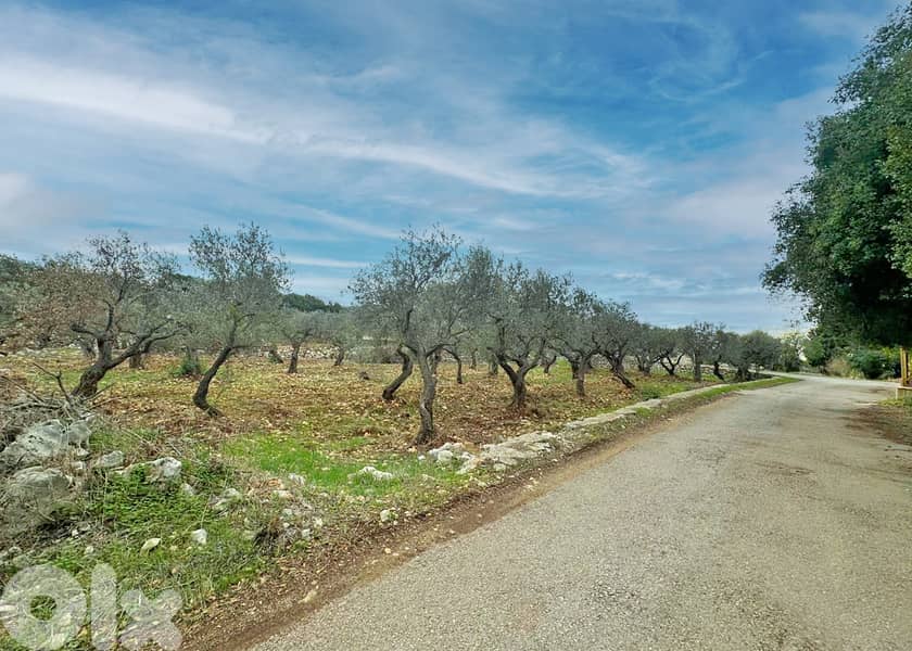 Hot Deal Land in Hamat near Batroun -  أرض مميزة في حامات 0