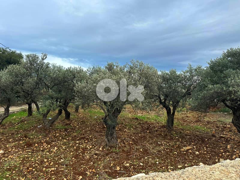 Hot Deal Land in Hamat near Batroun -  أرض مميزة في حامات 2