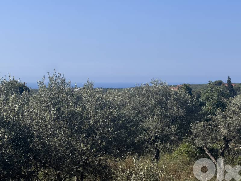 Hot Deal Land in Hamat near Batroun -  أرض مميزة في حامات 3