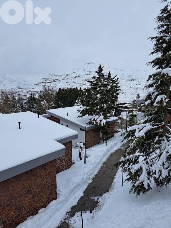 Cozy chalet in Faraya - شاليه في فاريا 3