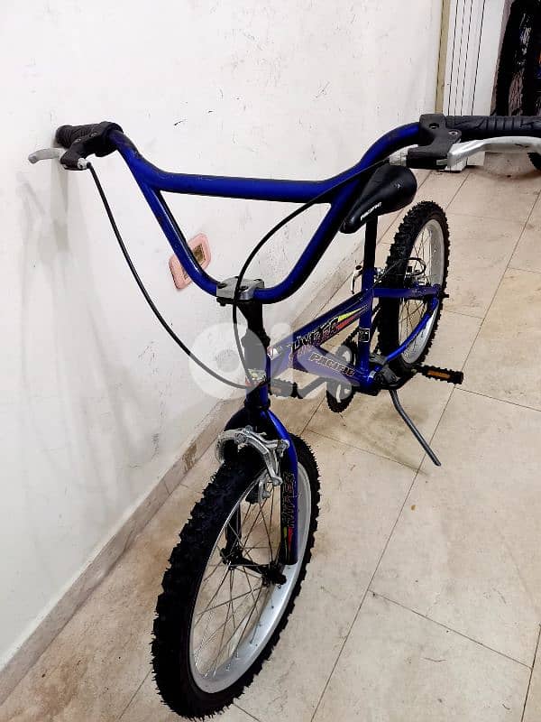 بسكليت Germany 4