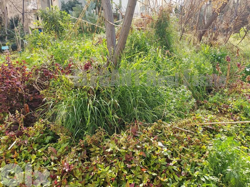Unique Land For sale in Kaslik 1