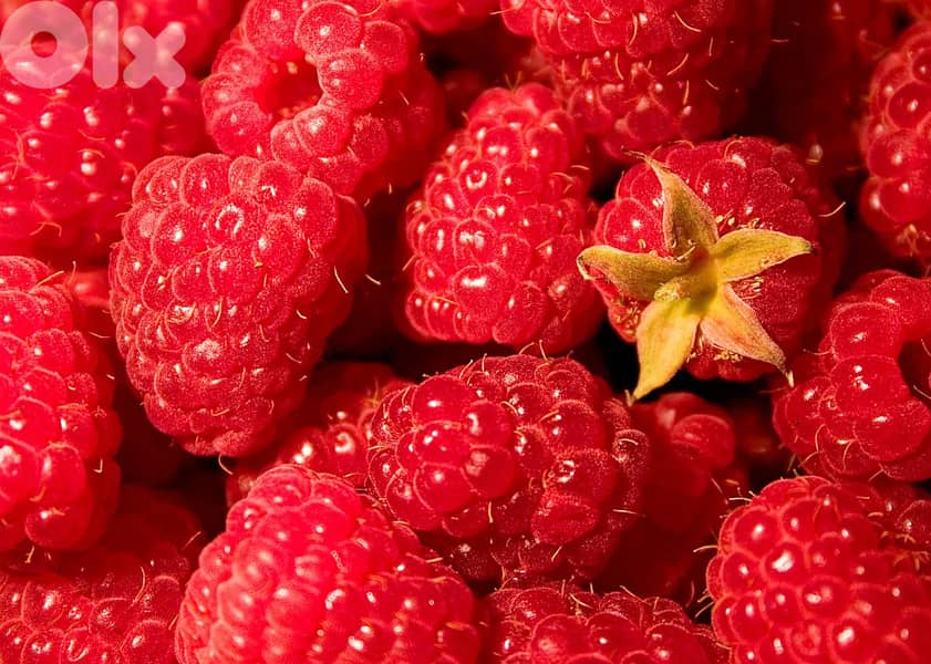 quality blueberries  and Strawberries ,cherries 2