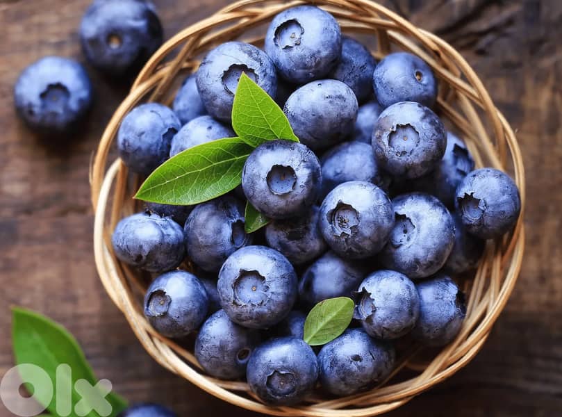 quality blueberries  and Strawberries ,cherries 3