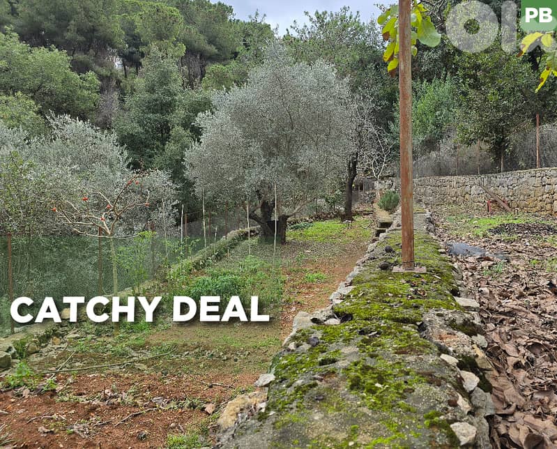 PRIME LOCATION | BEIT EL KIKO | CORNET CHEHWAN REF#PB129942 0