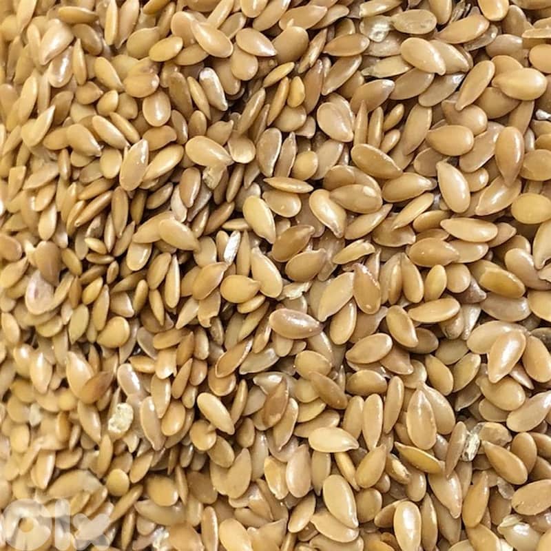 flax seed  (Lin Seed) 0
