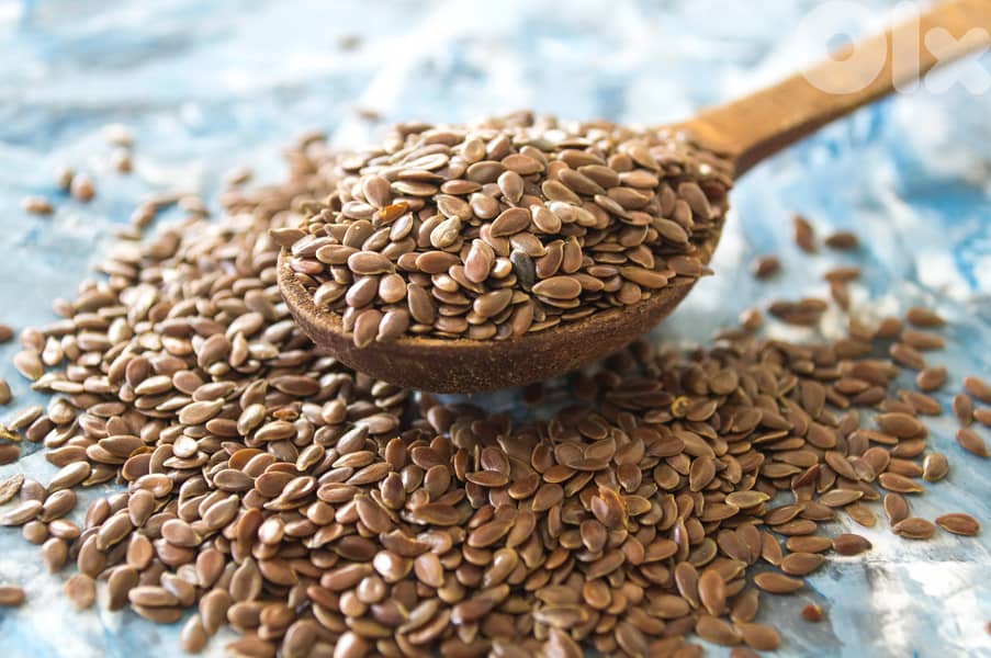 flax seed  (Lin Seed) 2