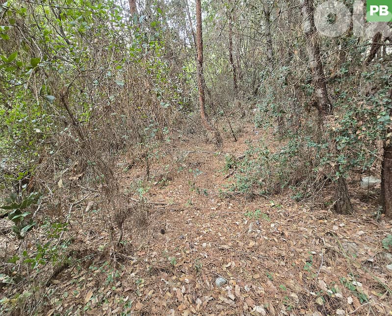 PRIME LOCATION | RABWEH | CORNET CHEHWAN| PRIME LOCATION REF#PB129950 0