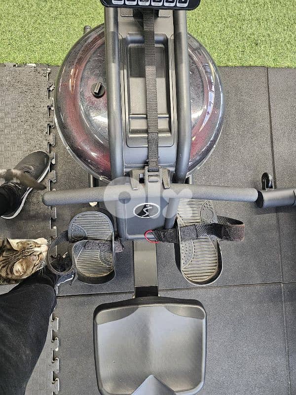 Obsidian Rowing Machine 4