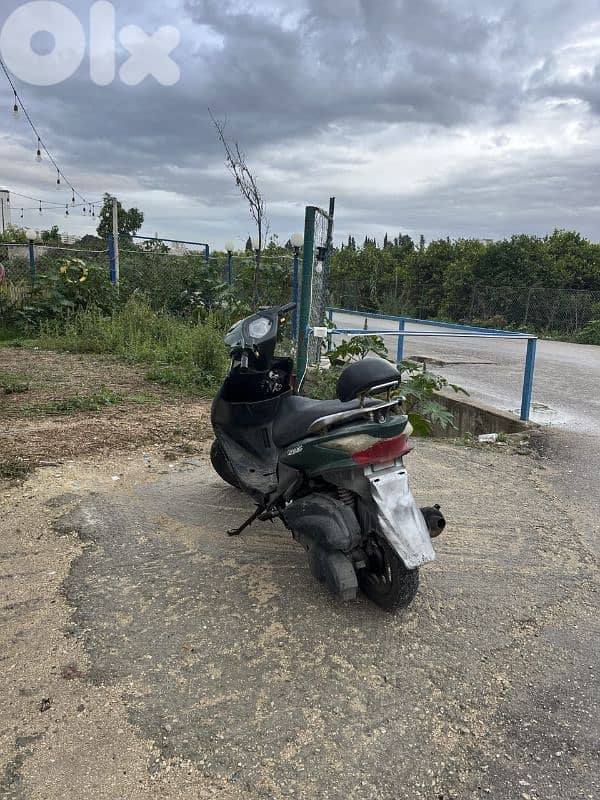 الجنوب صور 2