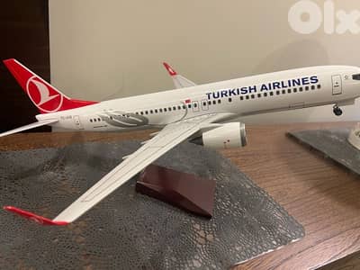 plane Turkish airline Boeing 737 _800