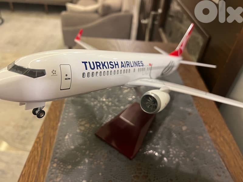 plane Turkish airline Boeing 737 _800 1