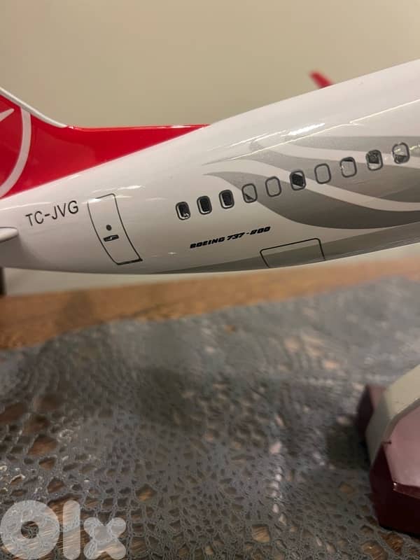 plane Turkish airline Boeing 737 _800 2