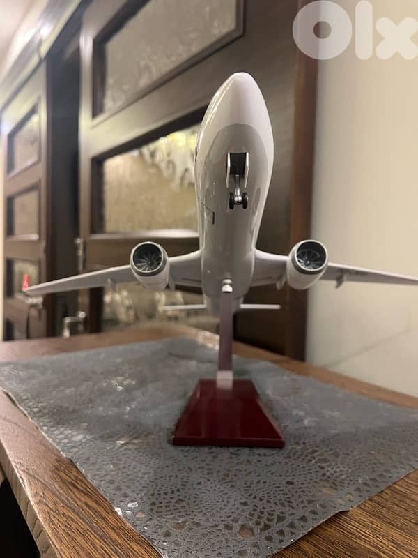 plane Turkish airline Boeing 737 _800 3