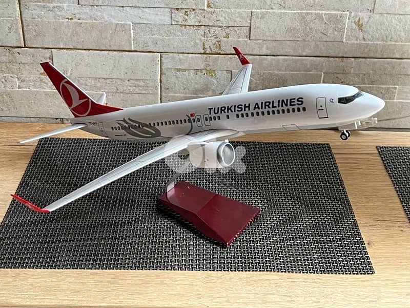 plane Turkish airline Boeing 737 _800 5