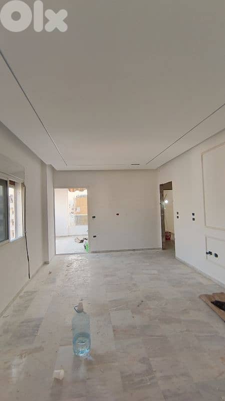 دهان بيوت ودكيورات 0