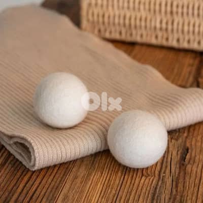 wenko dryer balls
